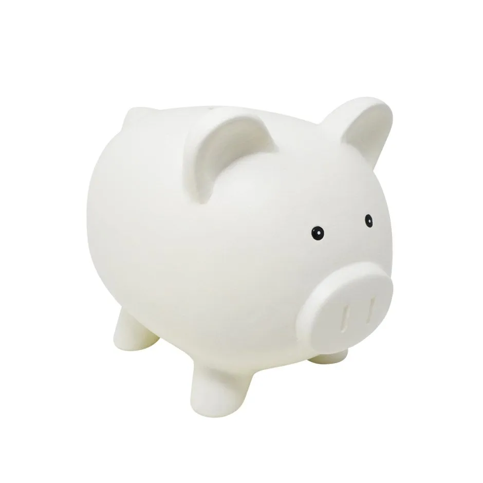 Piggy Bank Ceramic Assorted Colours