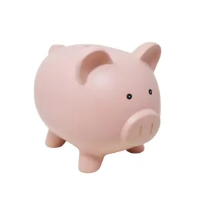 Piggy Bank Ceramic Assorted Colours