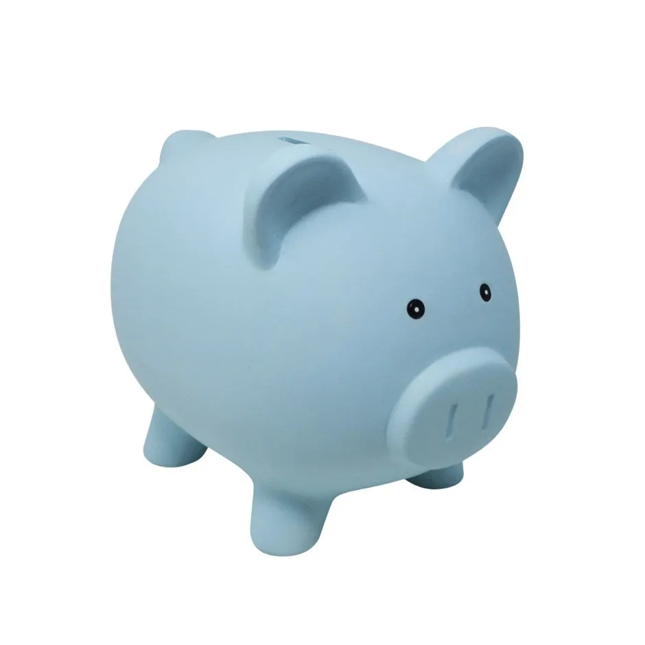 Piggy Bank Ceramic Assorted Colours